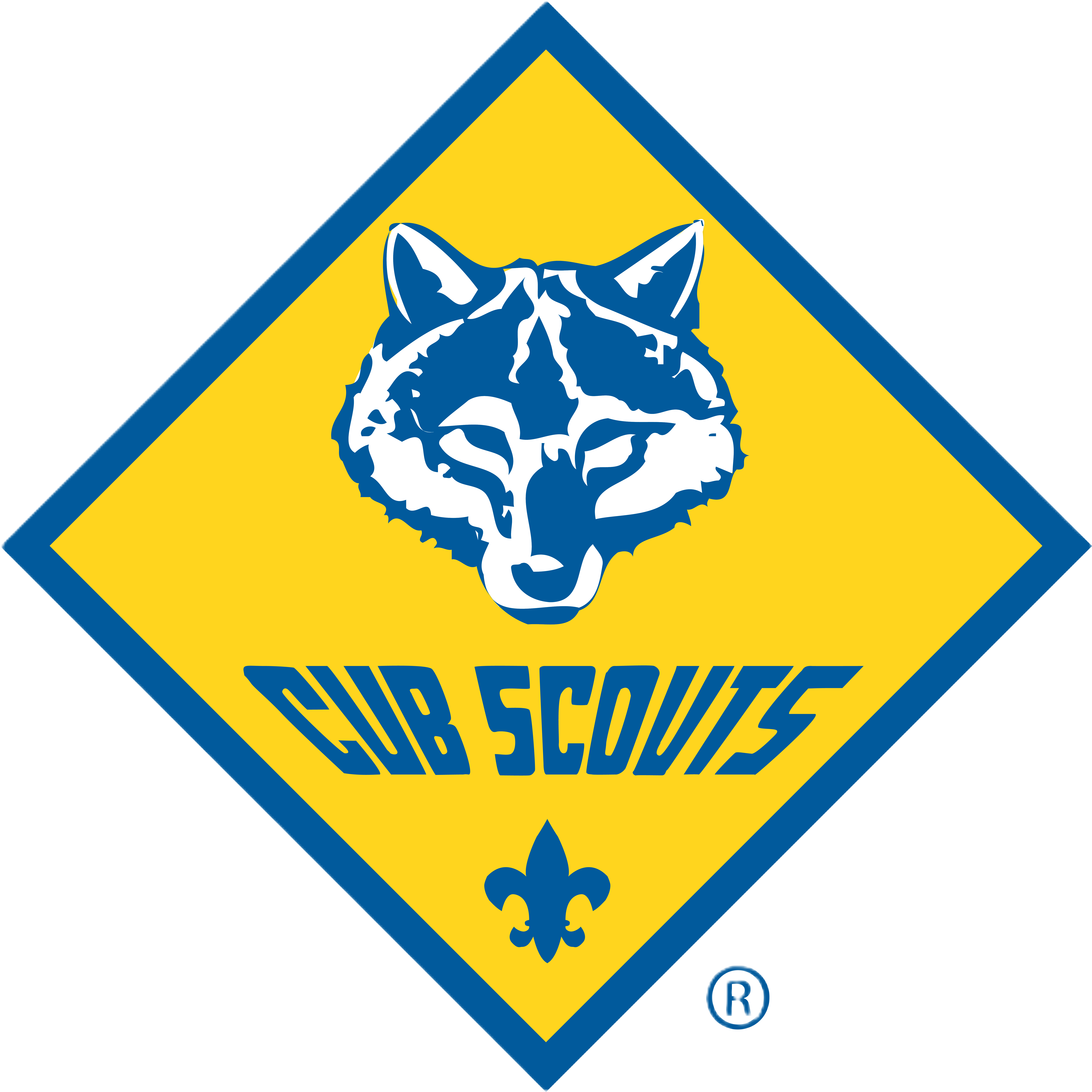 Cub Scout Pack 300